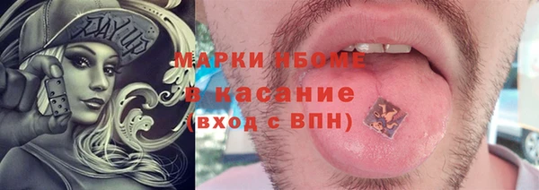 гашик Няндома