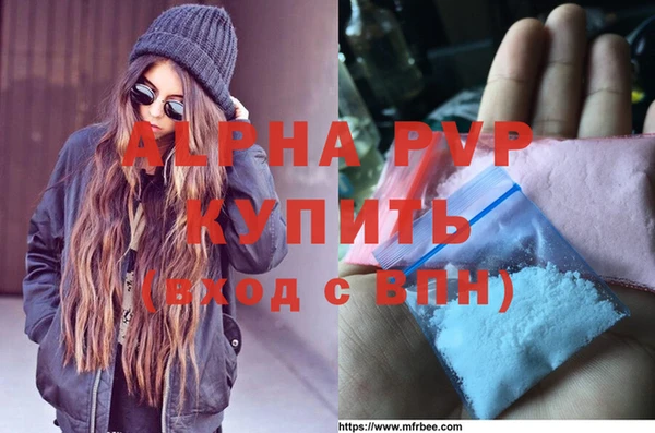 гидра Алексин