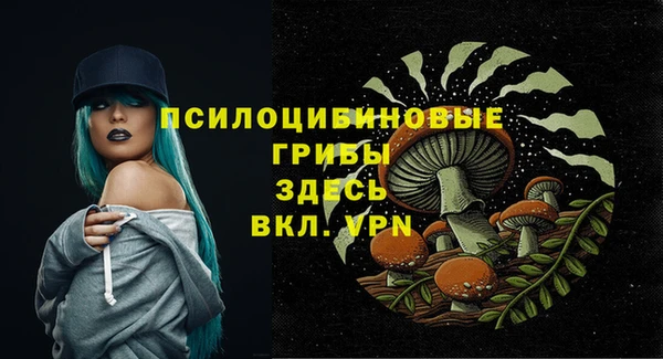 гидра Алексин