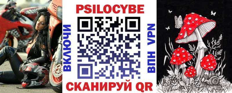 Галлюциногенные грибы Psilocybe купить наркотик Чебаркуль